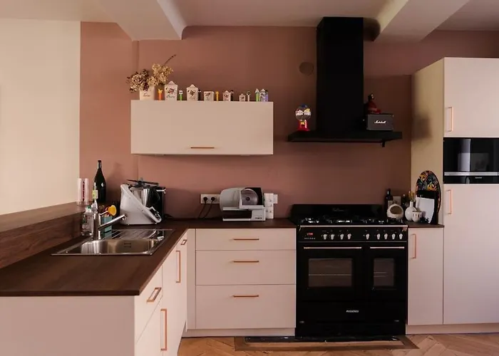 וילה Maison Quartier Historique Avec Jardin Et Parking Prive קאין